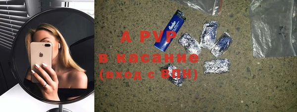 спиды Горняк